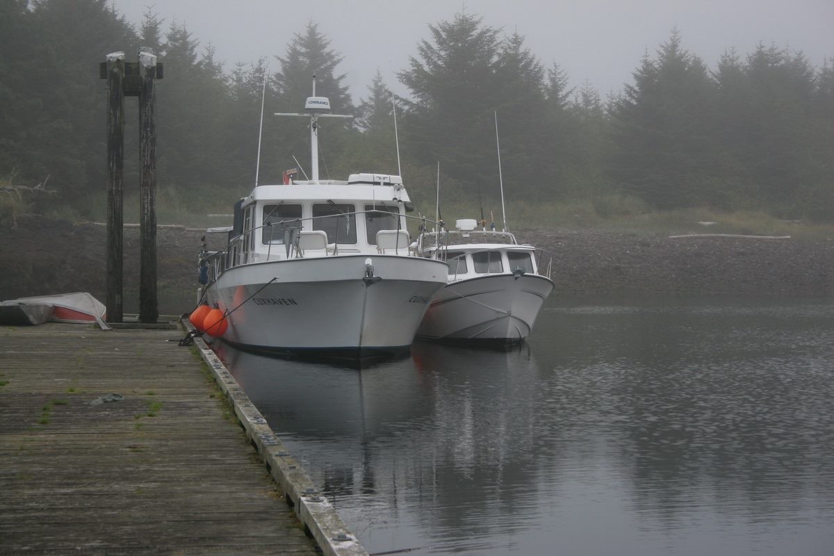 Charter boats moored at a misty dock in front of a conifer shoreline (placeholder photo)