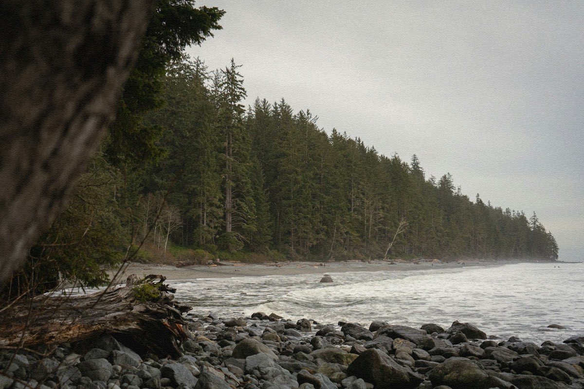 Rocky beach and dense conifer forest on the misty BC coast (placeholder photo)